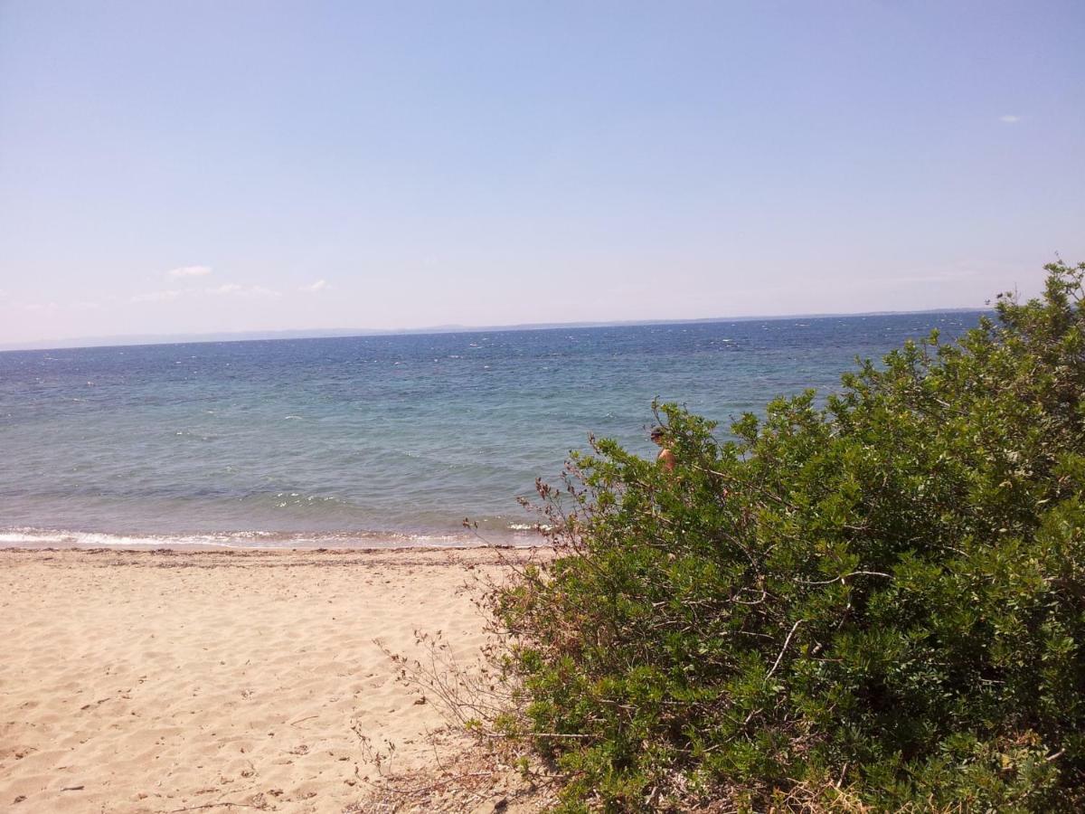 Afroditi Beach Геракини Экстерьер фото